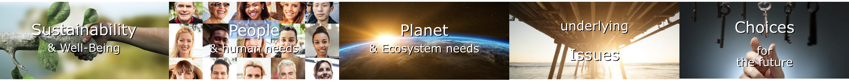 Sustainability, Human & Planetary needs, Issues & Choices