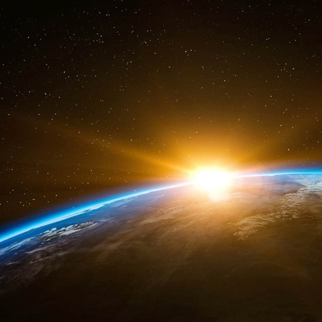 Planet & Ecosystem needs