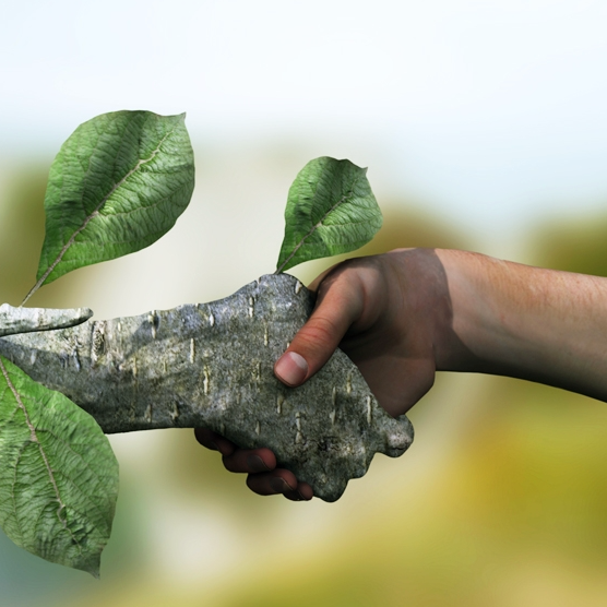 Sustainabiility & well-beiing