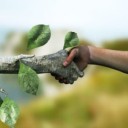 tree & human handshake